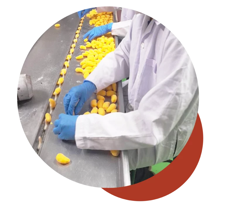 DeliKing processes production and quality control