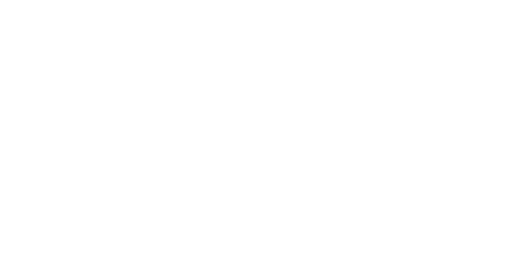 DeliKing logo